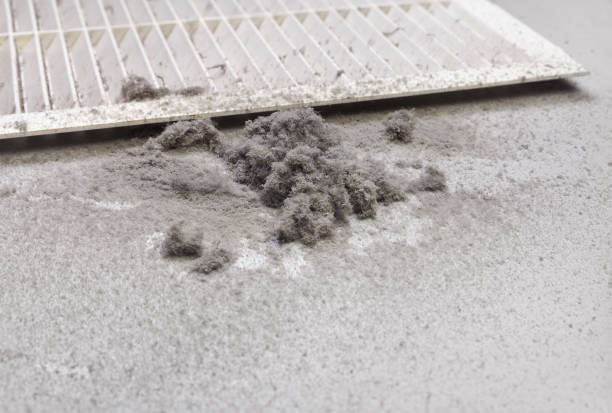 Best Affordable Air Duct Cleaning  in Louisa, KY