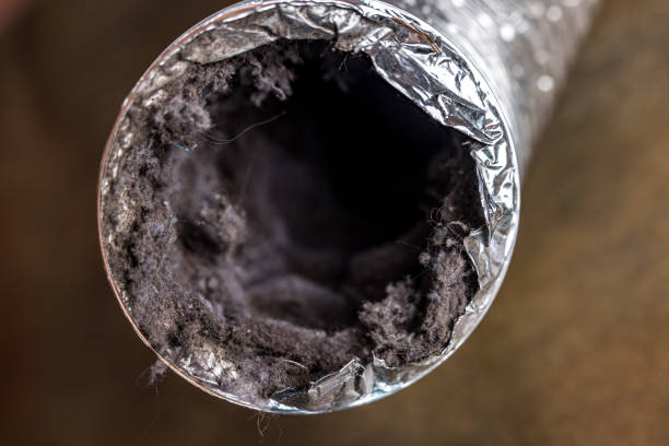 Best Affordable Duct Cleaning Services  in Louisa, KY