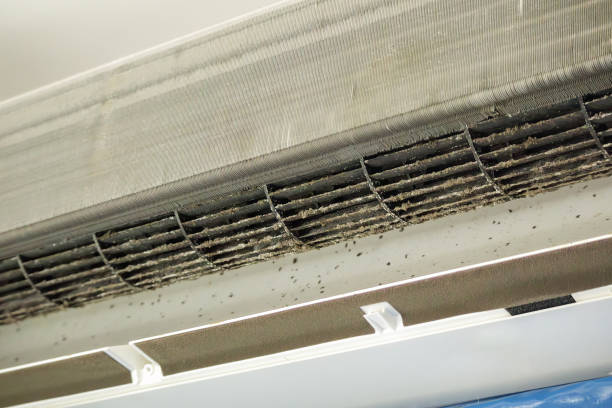 Best Air Duct Cleaning Near Me  in Louisa, KY